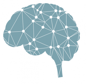 Neural network in a brain