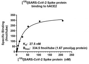 Saturation binding assay assessing radiolabeled I125-Spike against recombinant human ACE2.