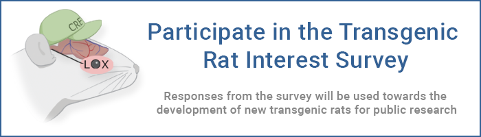 Participate in the Transgenic Rat Interest Survey